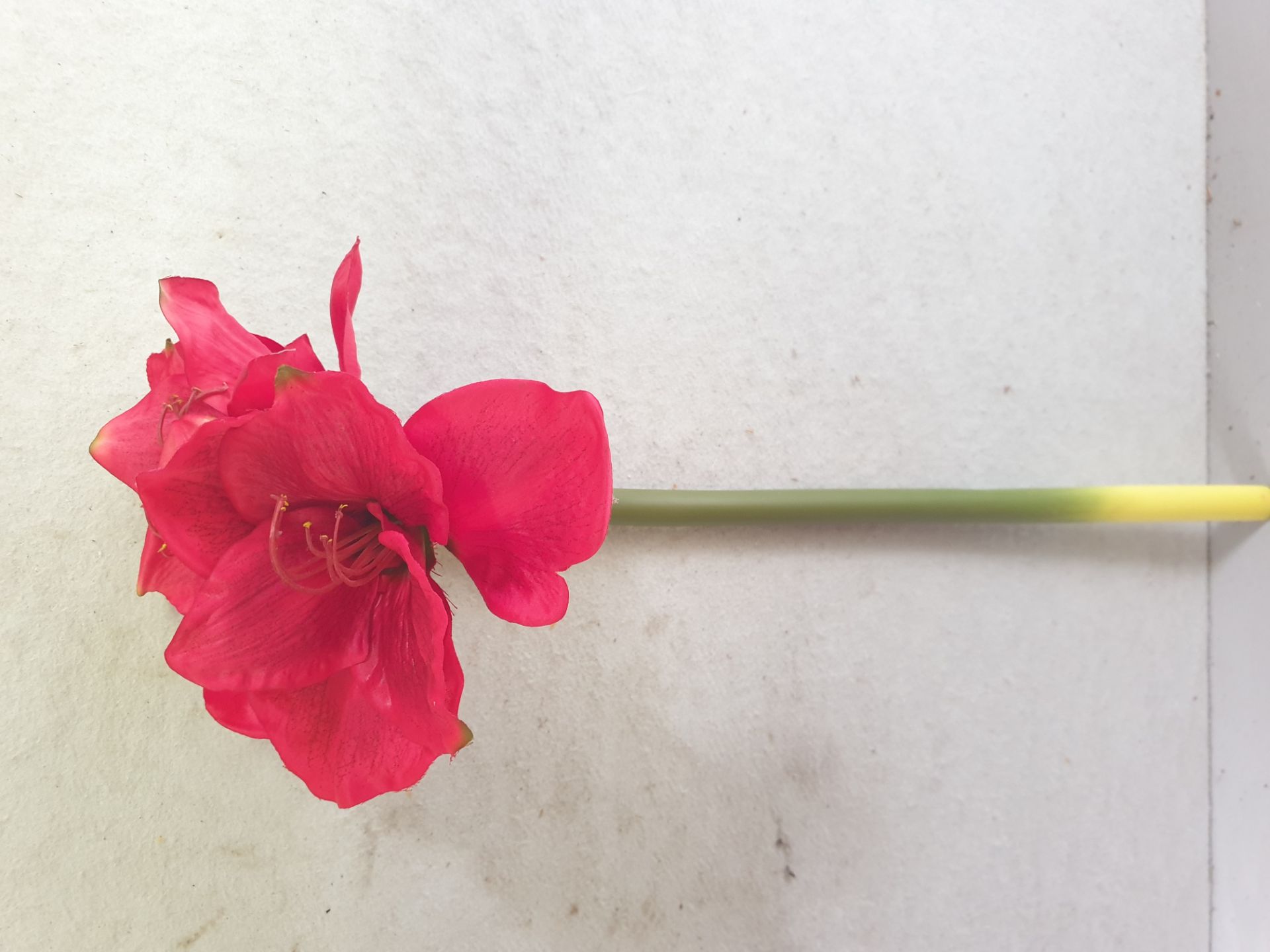 5 x Artificial Amarillis, red flower stem - 70cm long - unused