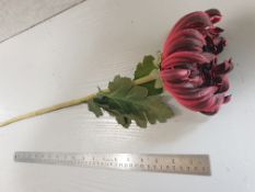 12 x Artificial Burgandy Chrysanthemum stem - unused - 70cm