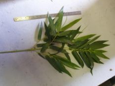 90 x Artifcial Bamboo foliage spray - yellow stem - used once but in good condition