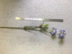 16 Artificial Scabious - Mauve flowers - really good condition