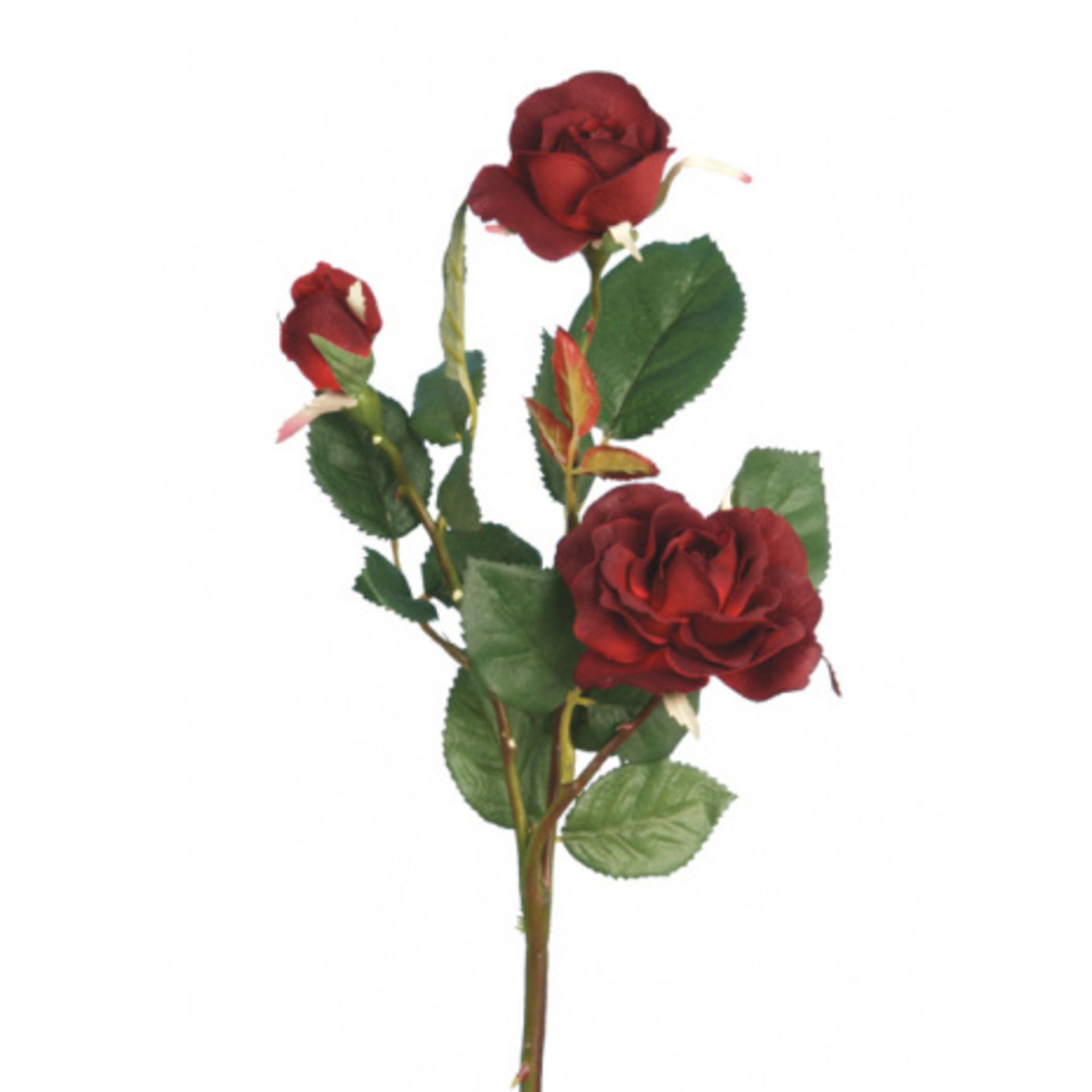 10 x Artificial Roses - Dark red flowers - used but in good condition - Image 2 of 2