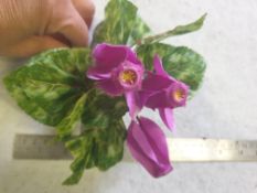 5 Artificial Cyclemen plants - pink flowers - used once