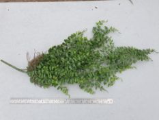 5 Artificial plastic Trailing Fern