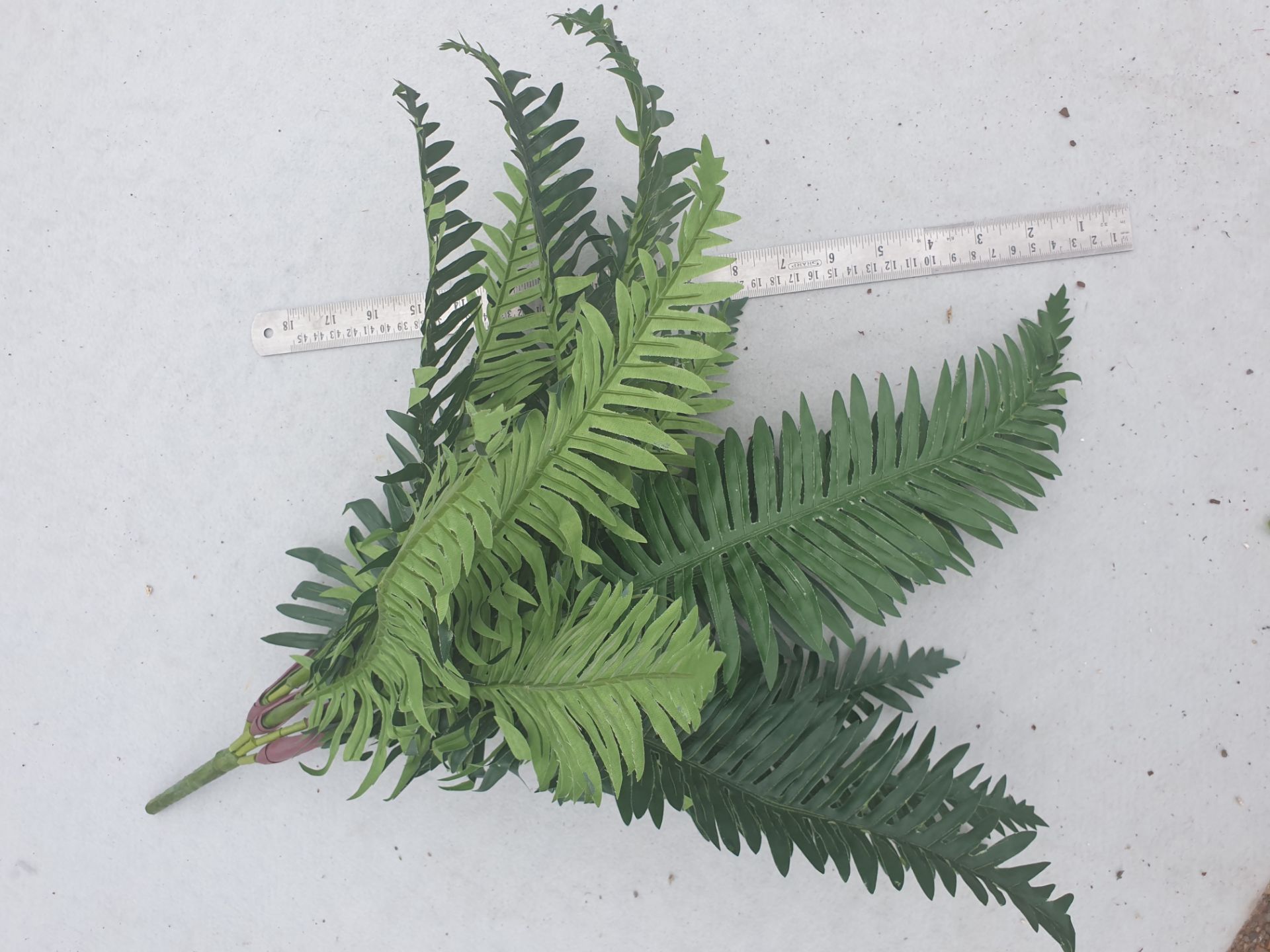 10 FR Artificial River Ferns - Used but in good condition