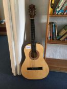 Eleca DAG-IN-36 6 string acoustic guitar