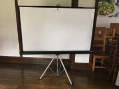 Rollaway Projector Screen