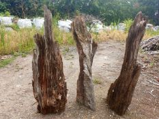 Set of 3 drift wood monaliths