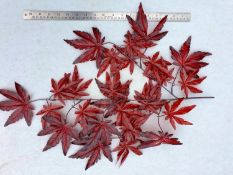 20 x Artificial Acer foliage spray - Burgandy - Unused