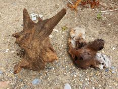 drift wood / tree stumps both approx 30cm