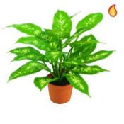 6 x Artificial Dieffenbachia potted plant FR - New and unused