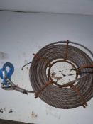 Steel wire with hook