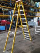 2.5m lyte ladders