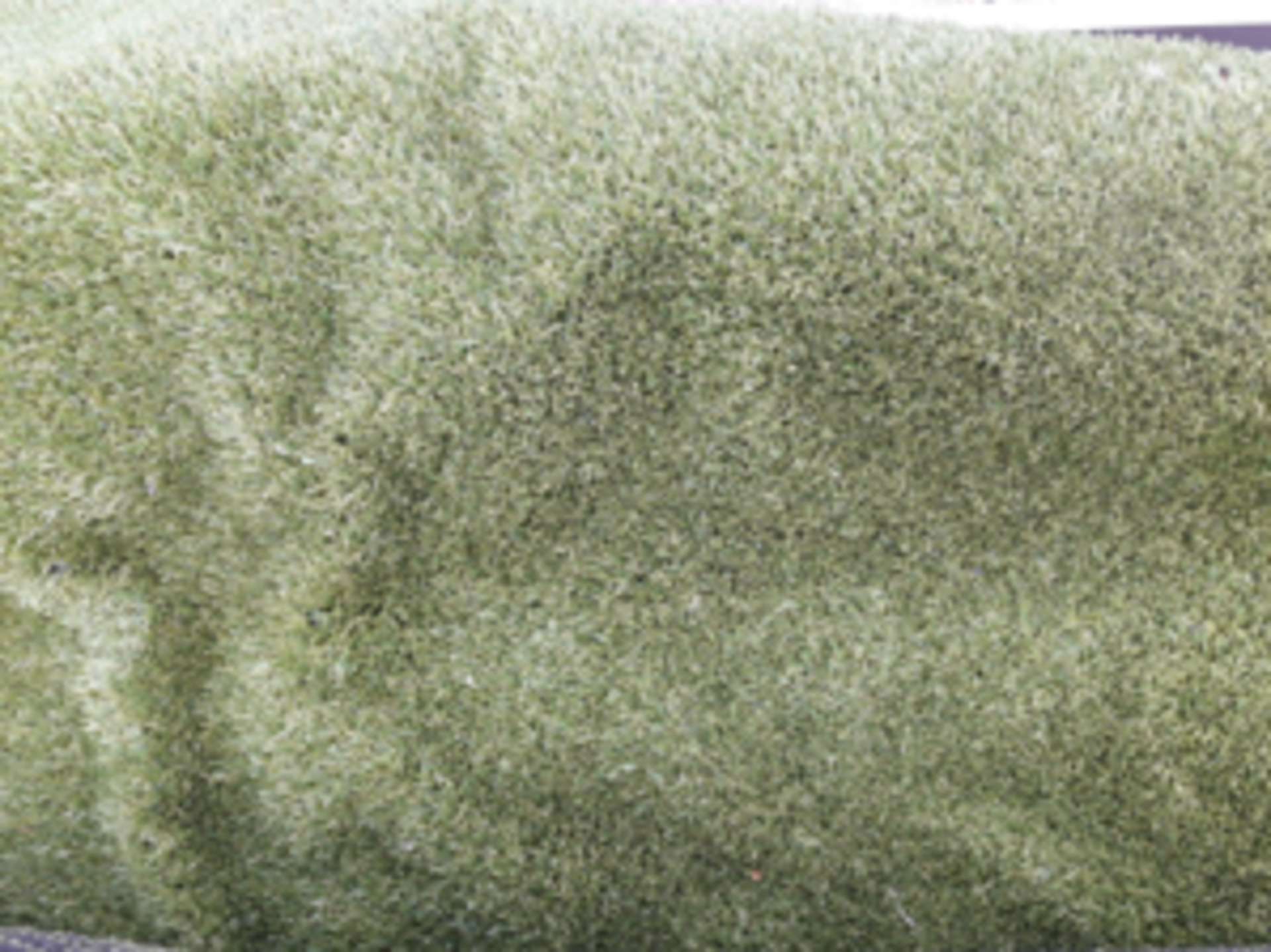 X5 Astro Turf - Image 4 of 4