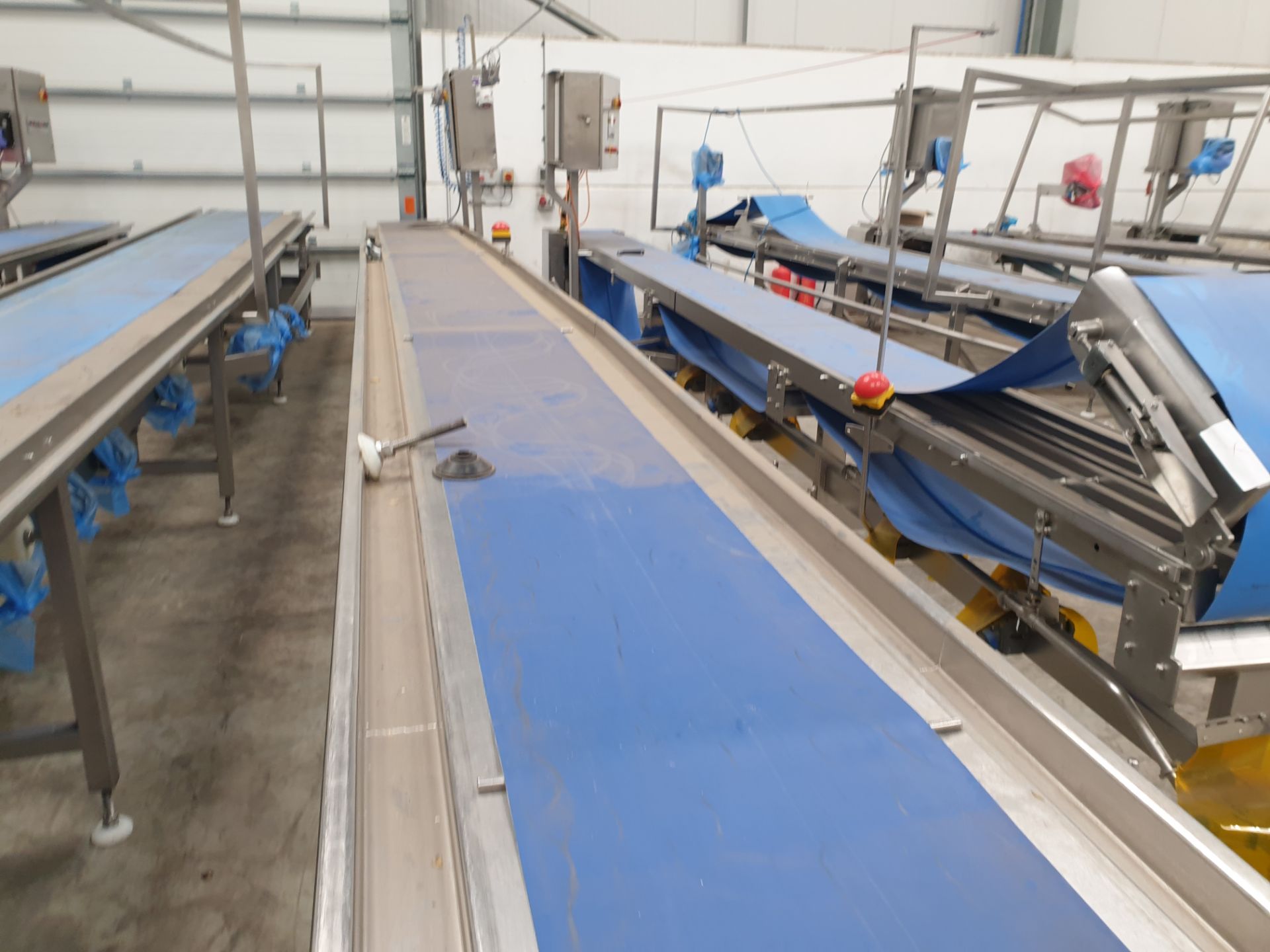 Continuous Belt Assembly Conveyor with Variable Speed Control - Image 4 of 10