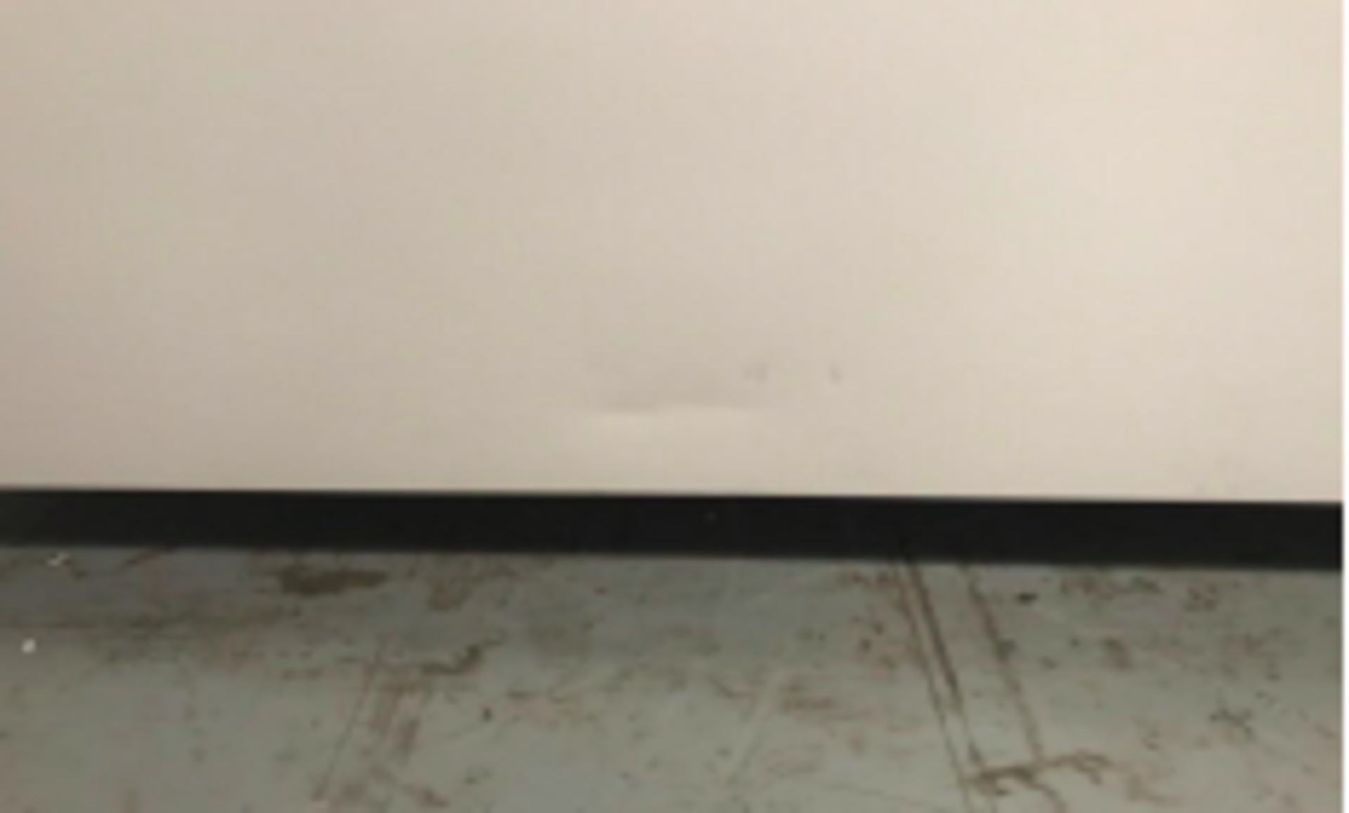 Lower height Compact 210, Freezer F 210 LG 3W - Image 9 of 11