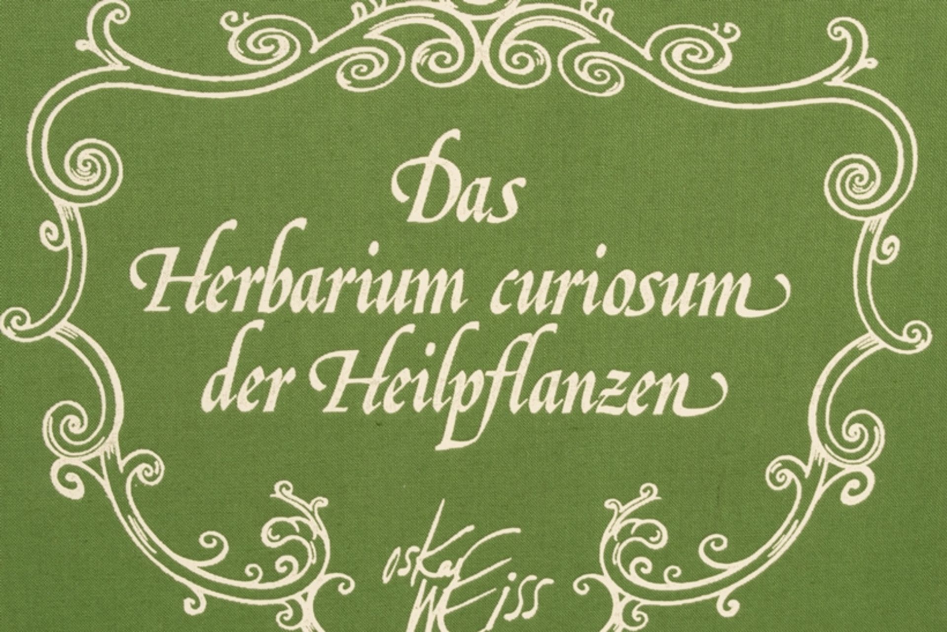 Das Herbarium Curiosum der "Heilpflanzen" des Schweizer "Bildererfinder's" Oskar Weiss (geb. - Bild 2 aus 5