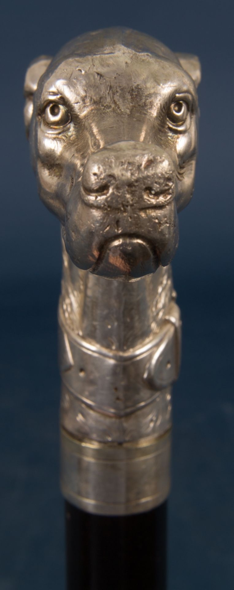 Spazierstock, Griffstück aus Silber (ungepunzt), als Hundekopf, Schuss vor wenigen Jahren ersetzt. - Image 12 of 12