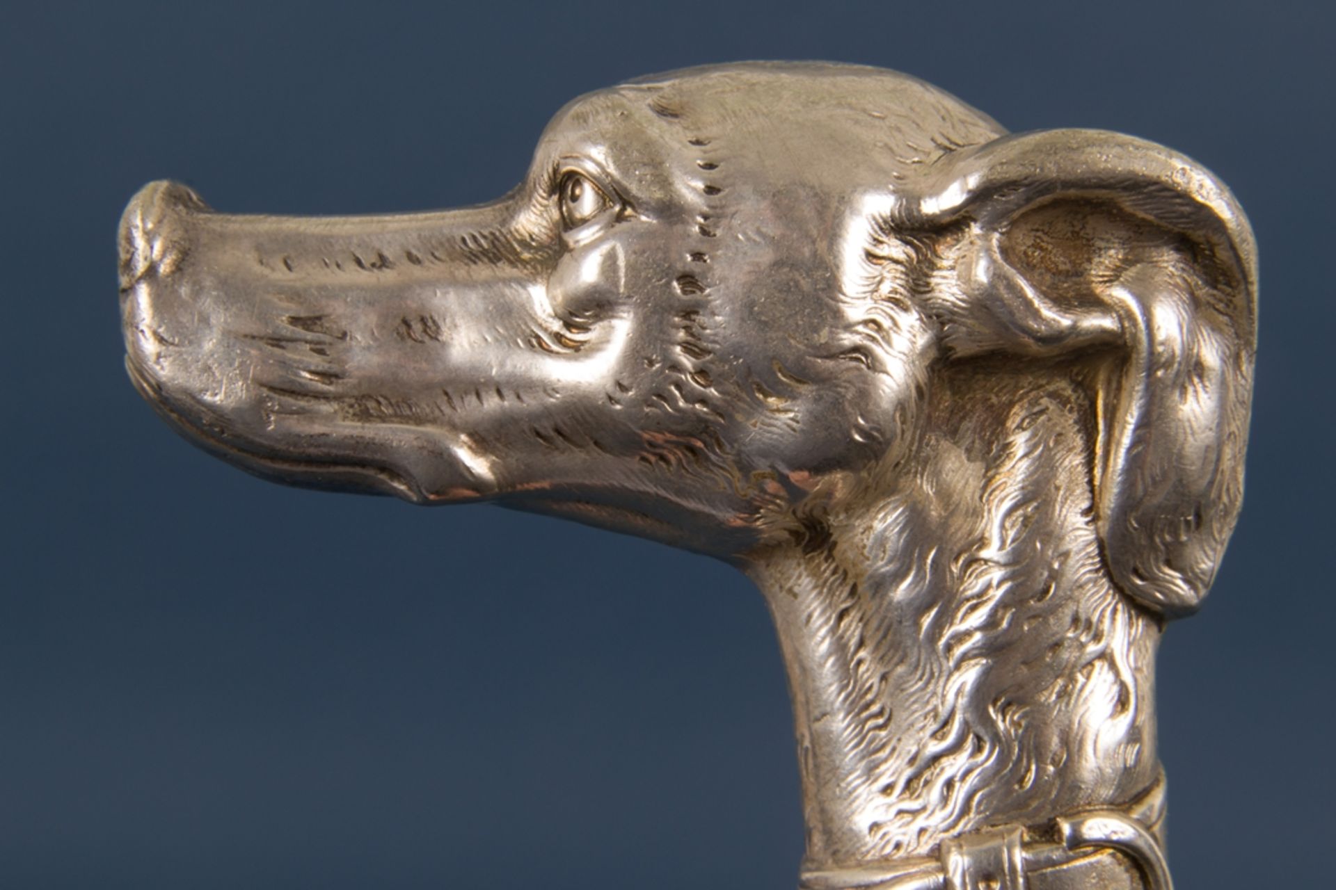Spazierstock, Griffstück aus Silber (ungepunzt), als Hundekopf, Schuss vor wenigen Jahren ersetzt. - Image 10 of 12