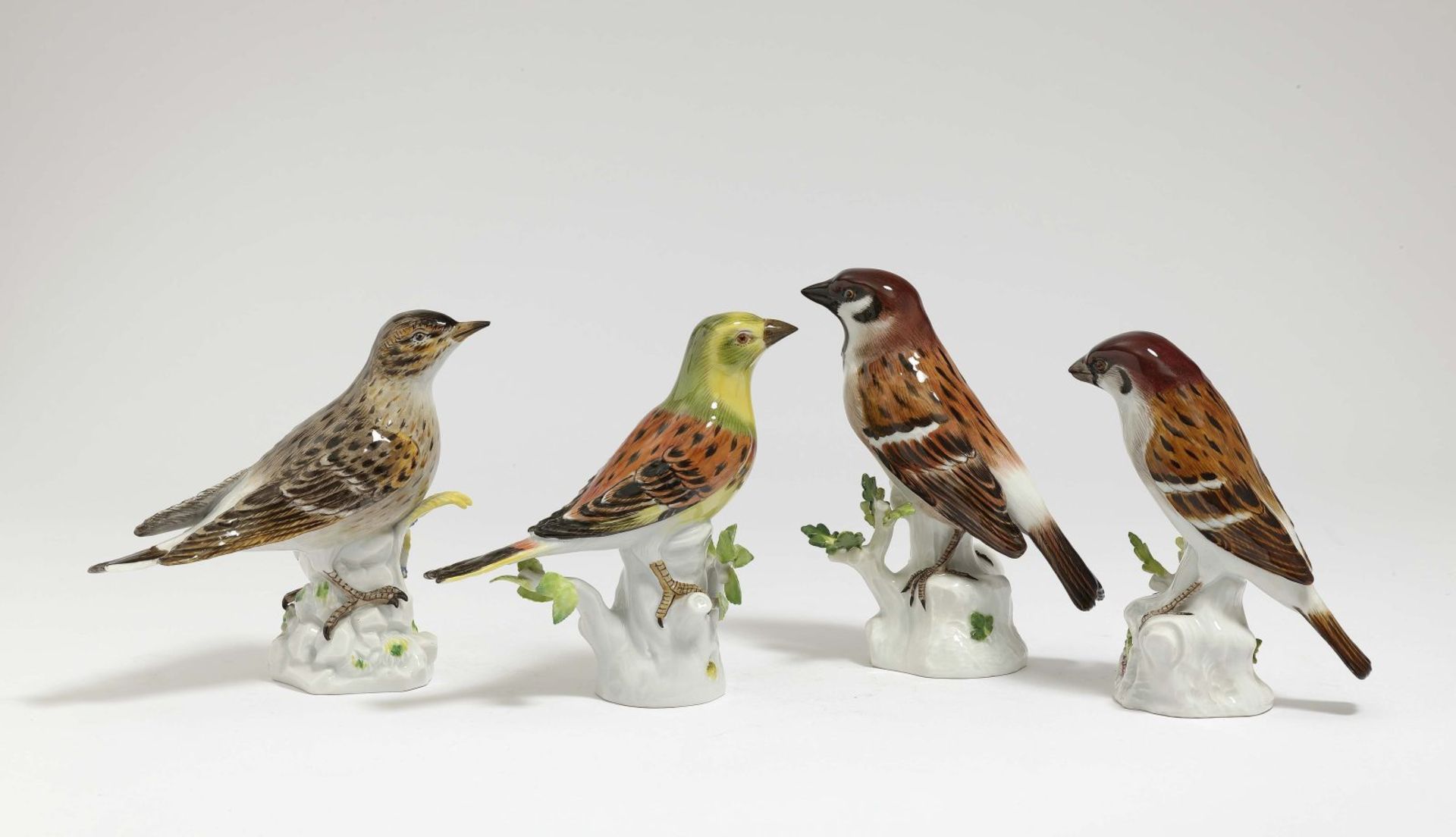 Vier Singvögel - Goldammer, Lerche und zwei Sperlinge