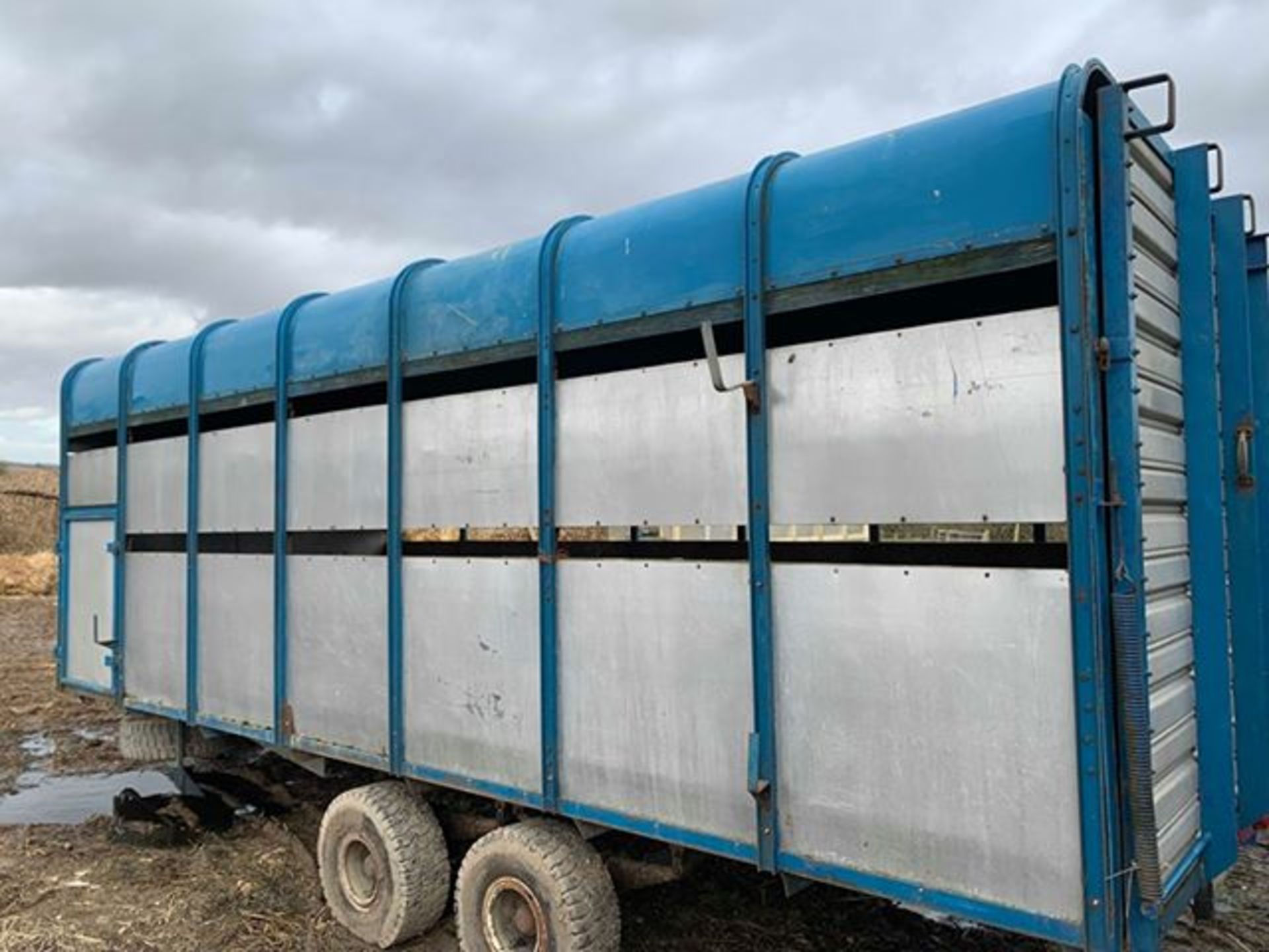 Ifor Williams 18ft Cattle Trailer