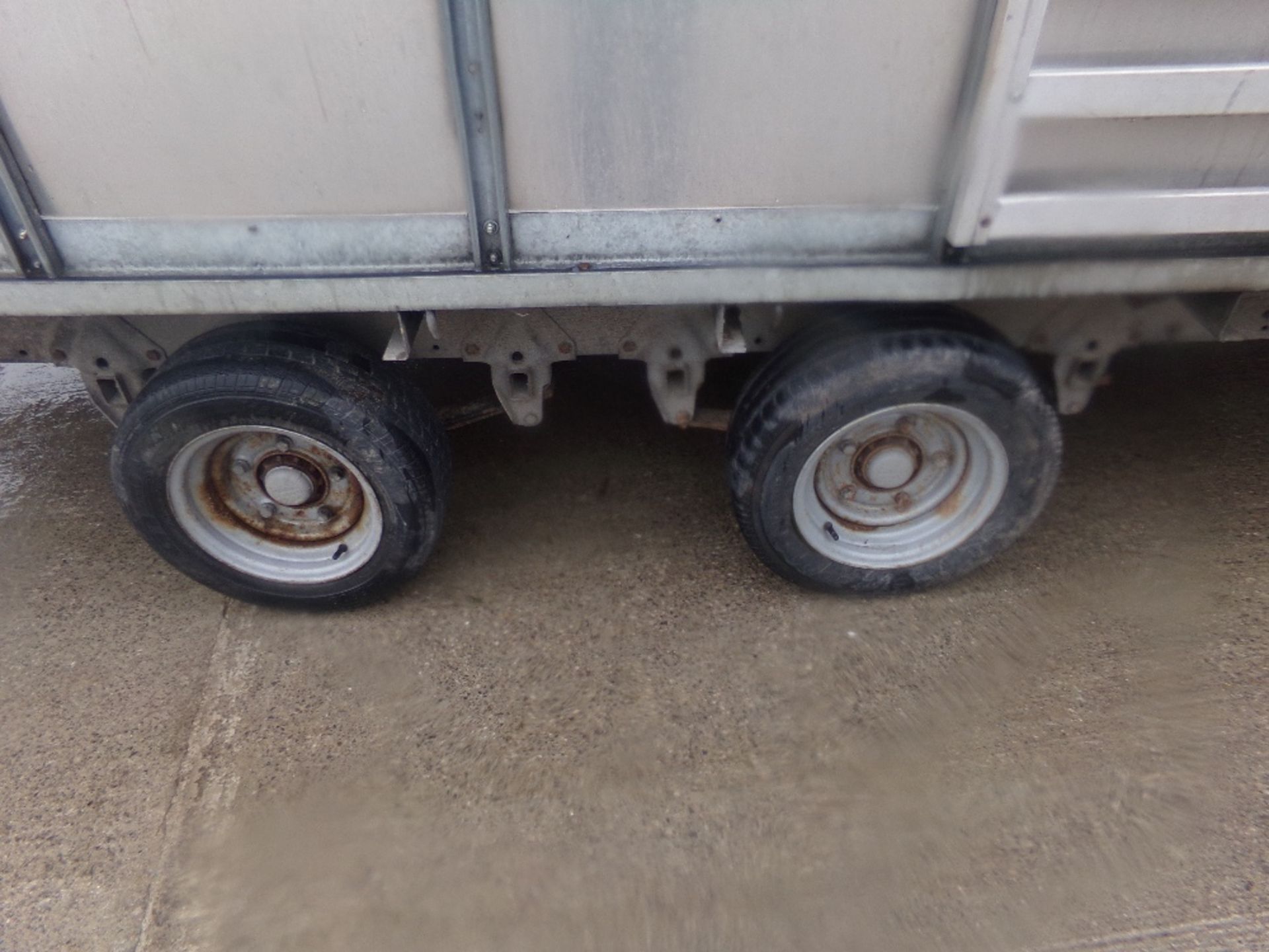 IFOR WILLIAMS 12FT LIVESTOCK TRAILER - Image 4 of 7