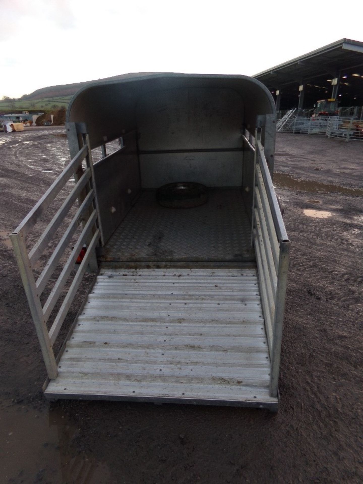 IW CALF/SHEEP TRAILER