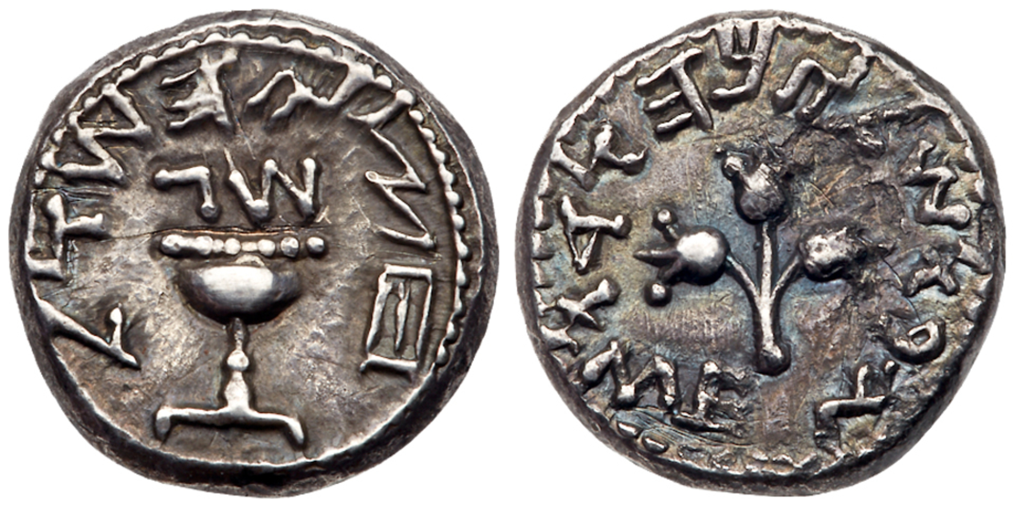 Judaea, The Jewish War. Silver 1/2 Shekel (6.77 g), 66-70 CE. EF