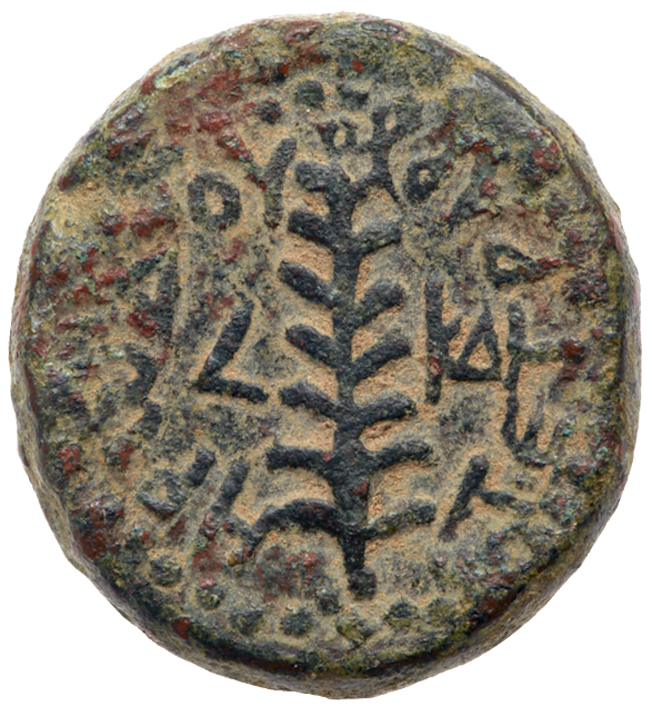 Judaea, Herodian Kingdom. Herod III Antipas. Ã† Full (18.87 g), 4 BCE-39 CE. EF - Image 3 of 3