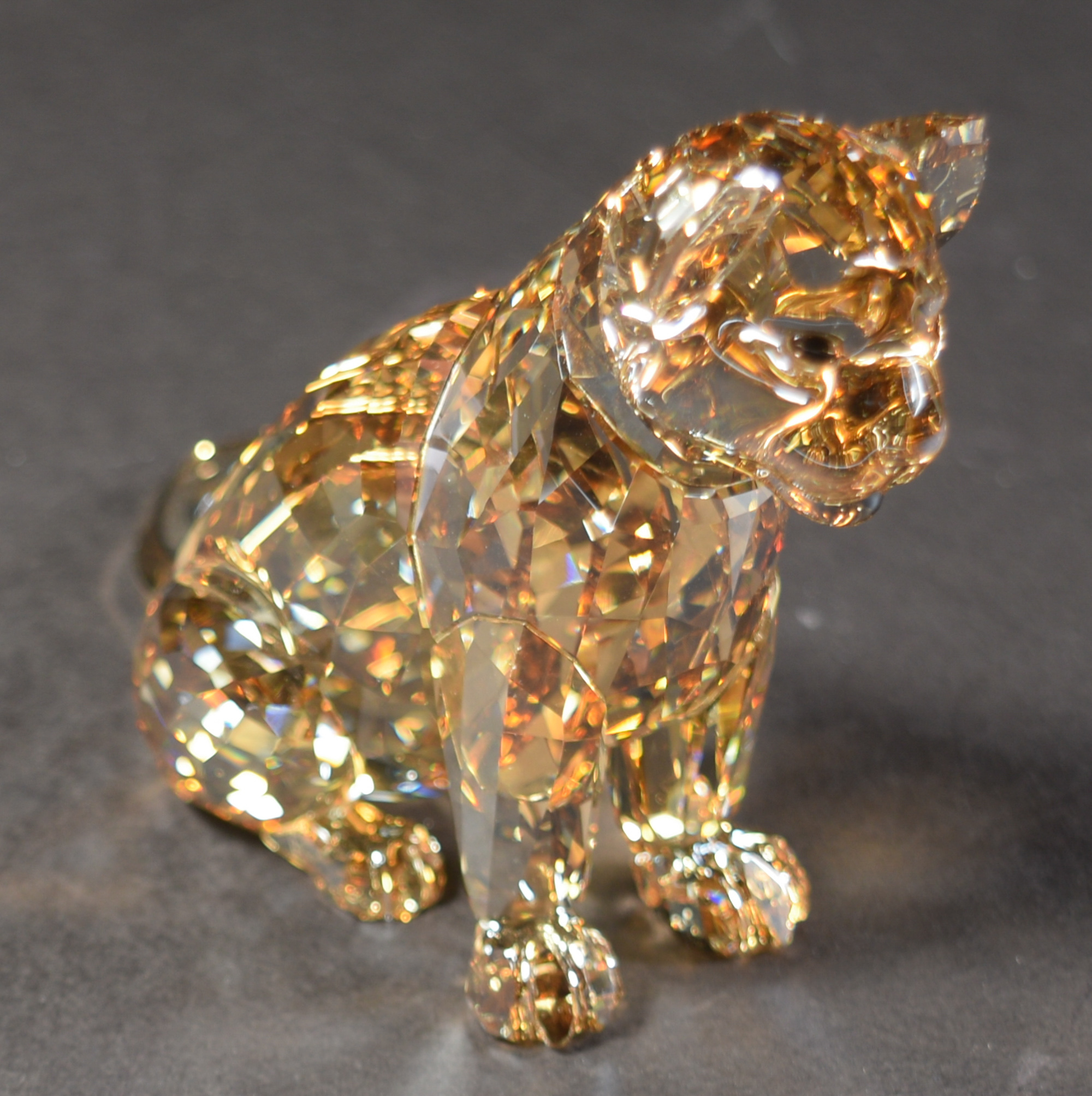 7 Boxed Swarovski SCS Lions and Tigers inc. Akili - Image 8 of 11