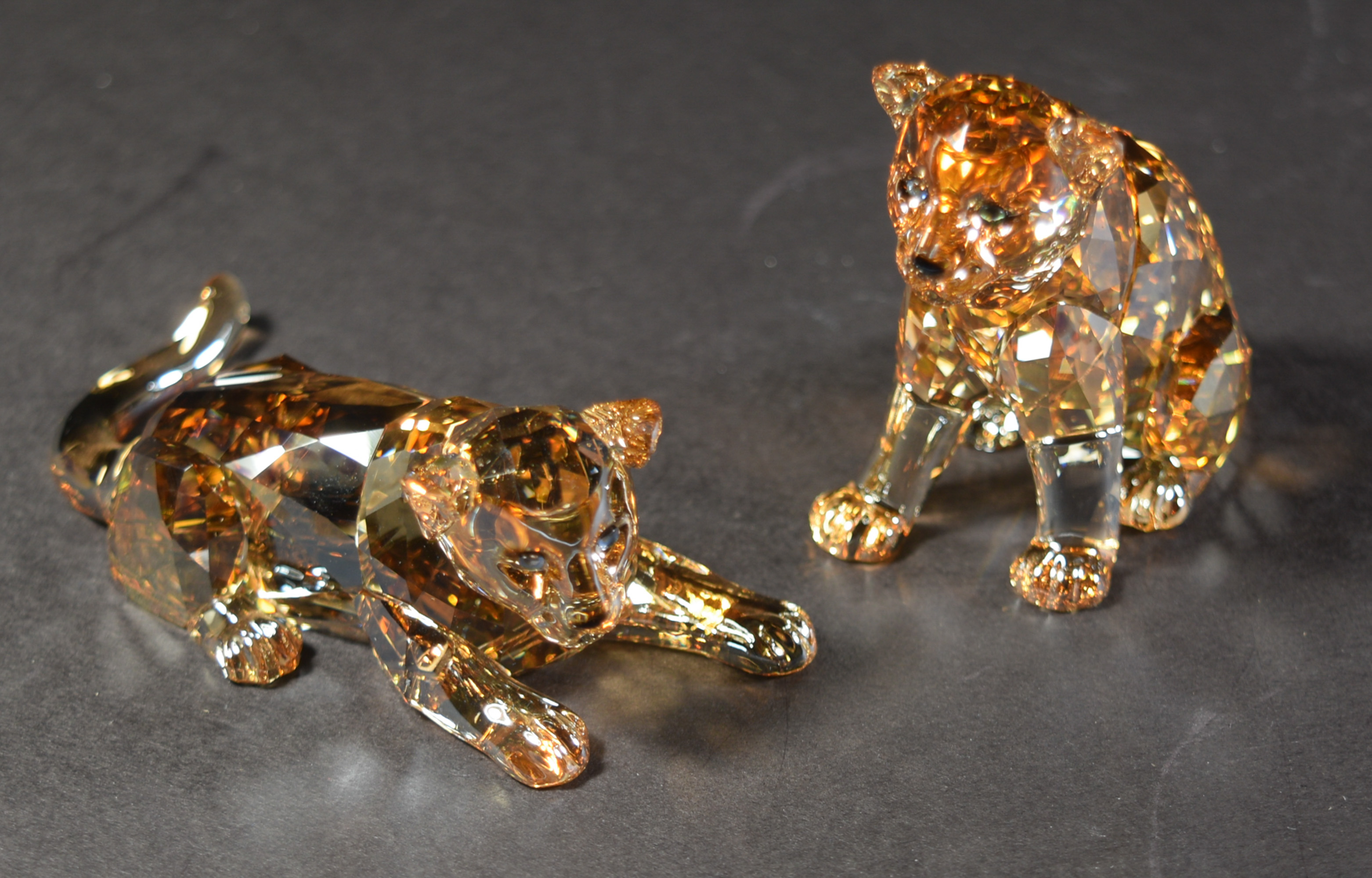7 Boxed Swarovski SCS Lions and Tigers inc. Akili - Image 7 of 11