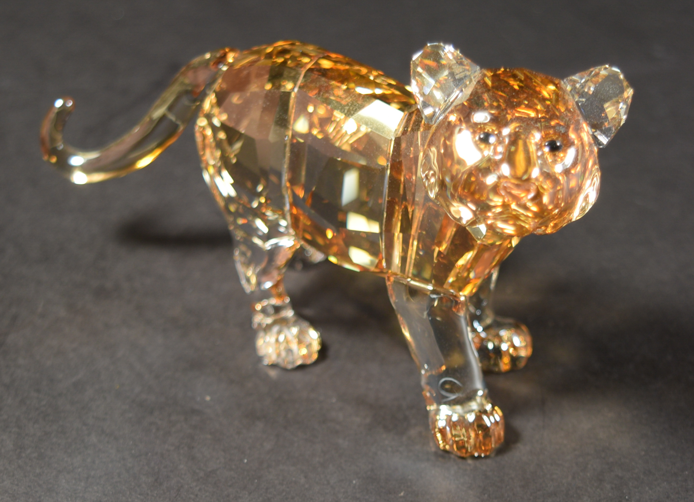 7 Boxed Swarovski SCS Lions and Tigers inc. Akili - Image 9 of 11