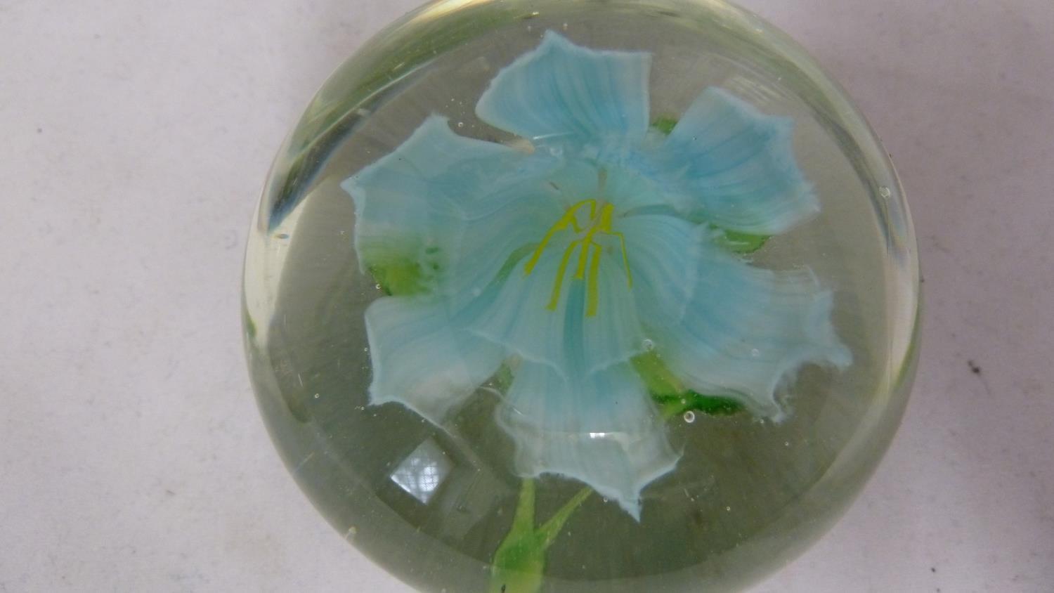 Paperweights - five millifiore decorated glass paper weights; and one enclosing a flower (6) - Image 13 of 14