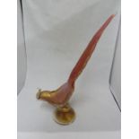 Murano glass - Pheasant - modelled standing with elongated tail upright, in pink and aventurine gold