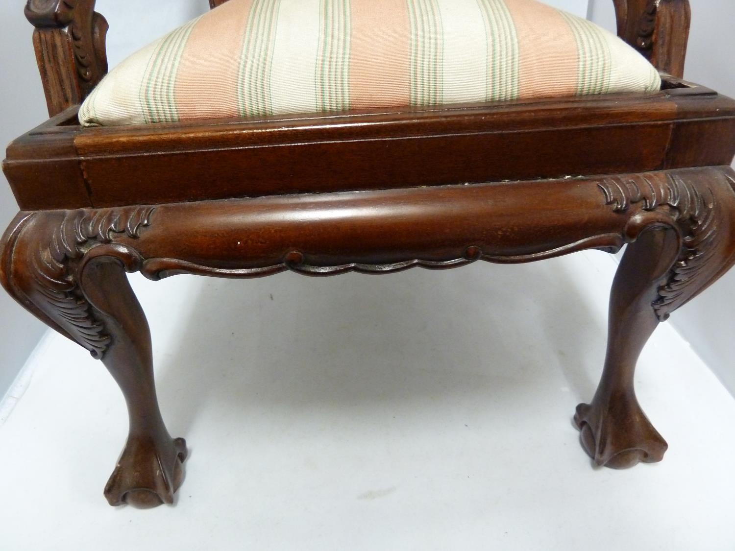 A reproduction childs/dolls chair, in Georgian style, on ball and claw feet, 50cm high - Image 3 of 4