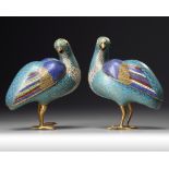A PAIR OF CHINESE CLOISONNÉ ENAMEL BIRD CENSERS
