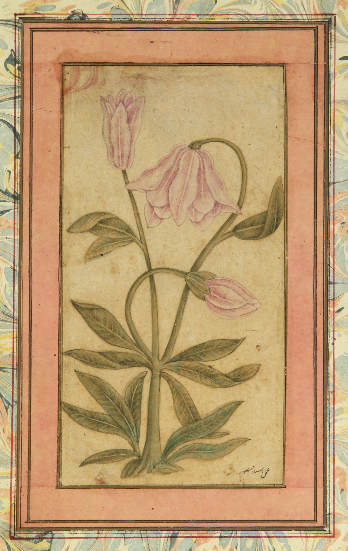 TWO MINIATURES DEPICTING FLOWERS, INDIA, DECCAN, 17TH-18TH CENTURY - Bild 2 aus 3