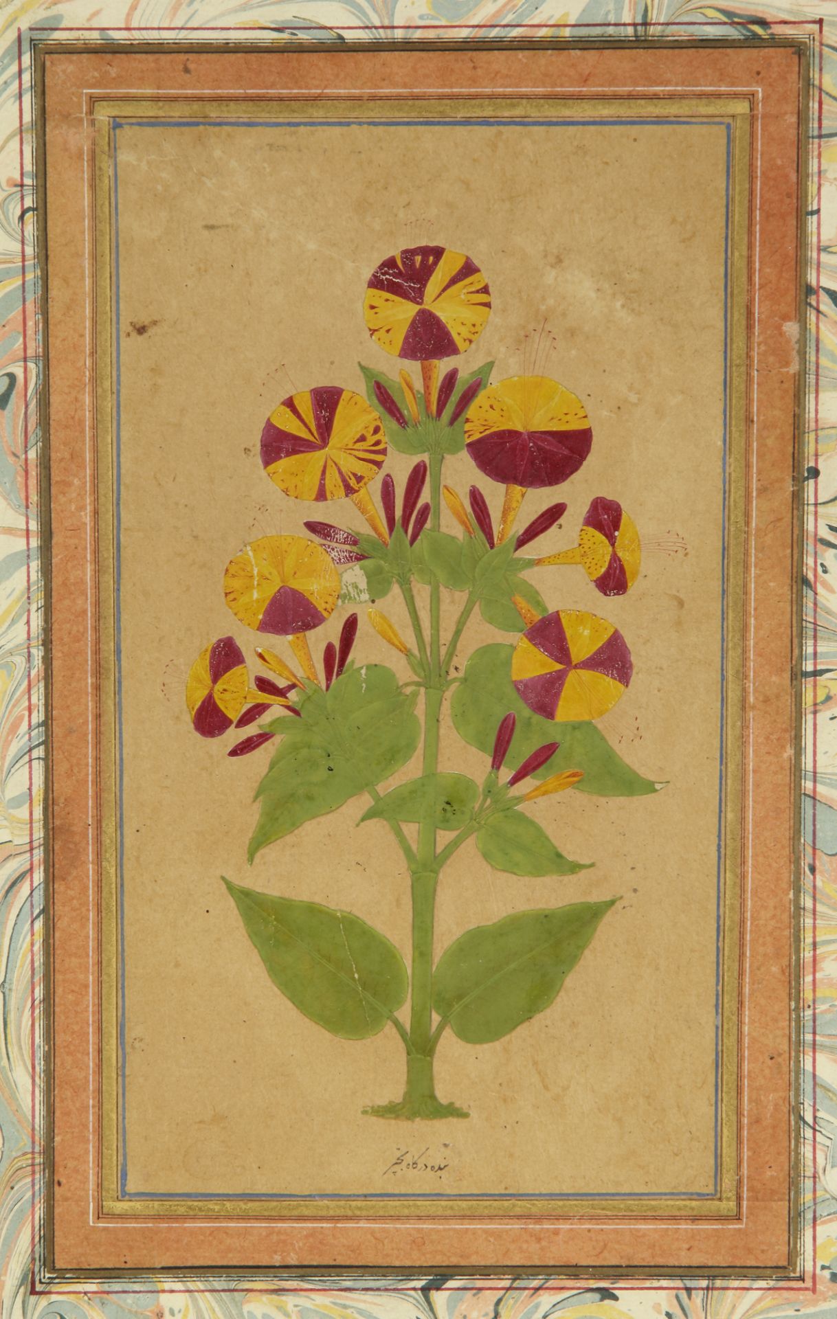 TWO MINIATURES DEPICTING FLOWERS, INDIA, DECCAN, 17TH-18TH CENTURY - Bild 3 aus 3