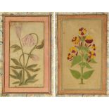 TWO MINIATURES DEPICTING FLOWERS, INDIA, DECCAN, 17TH-18TH CENTURY