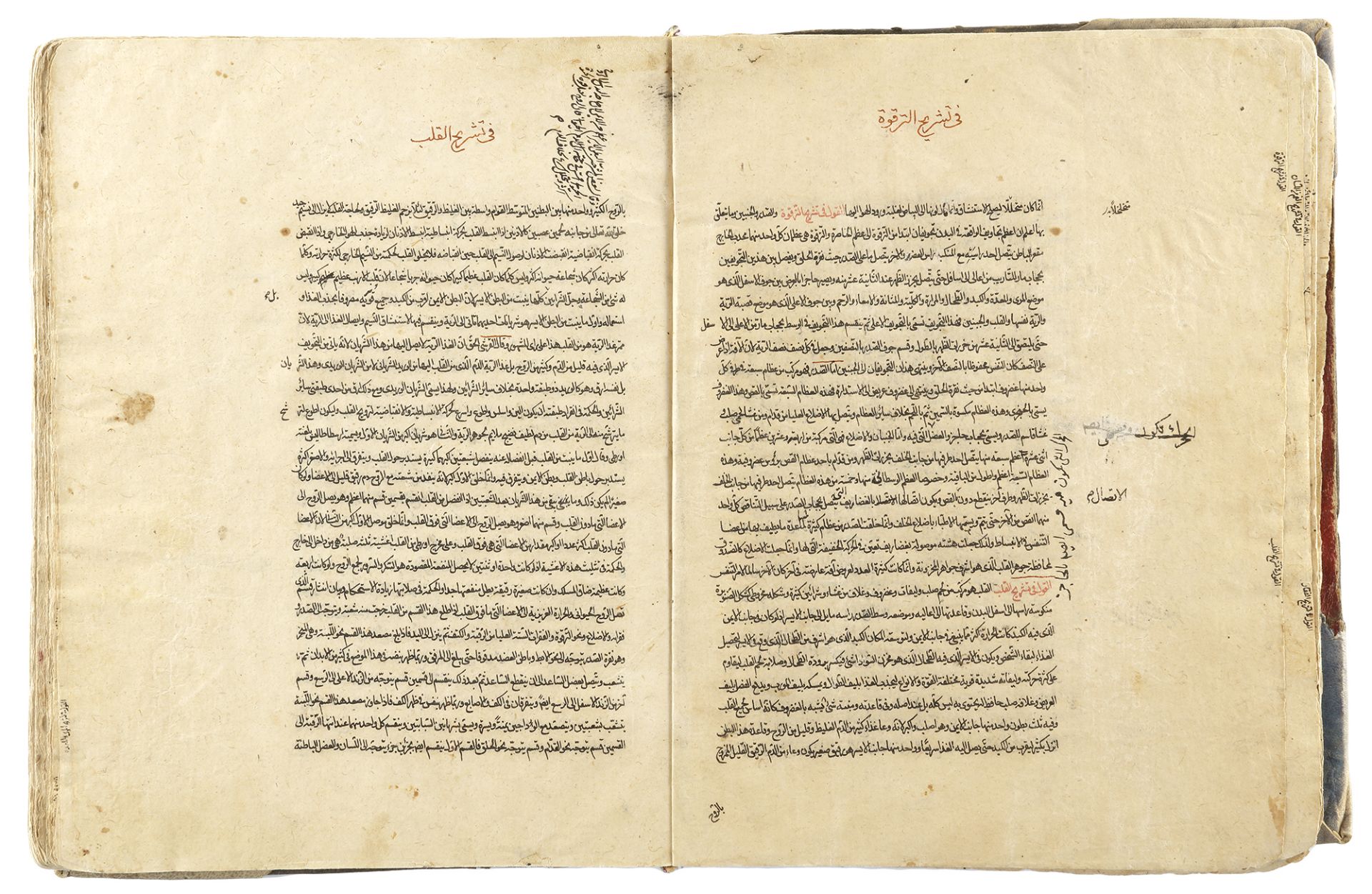 TUHFIT AL-ABI'AN FI HIFZ SEHT AL-ABDAN IN 930 AH/1523 AD, BY IBN KAMAL AL-DIN HUSSEIN ABDULLAH AL-T - Bild 3 aus 7