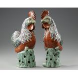 A PAIR OF CHINESE FAMILLE ROSE COCKERELS, 19TH CENTURY