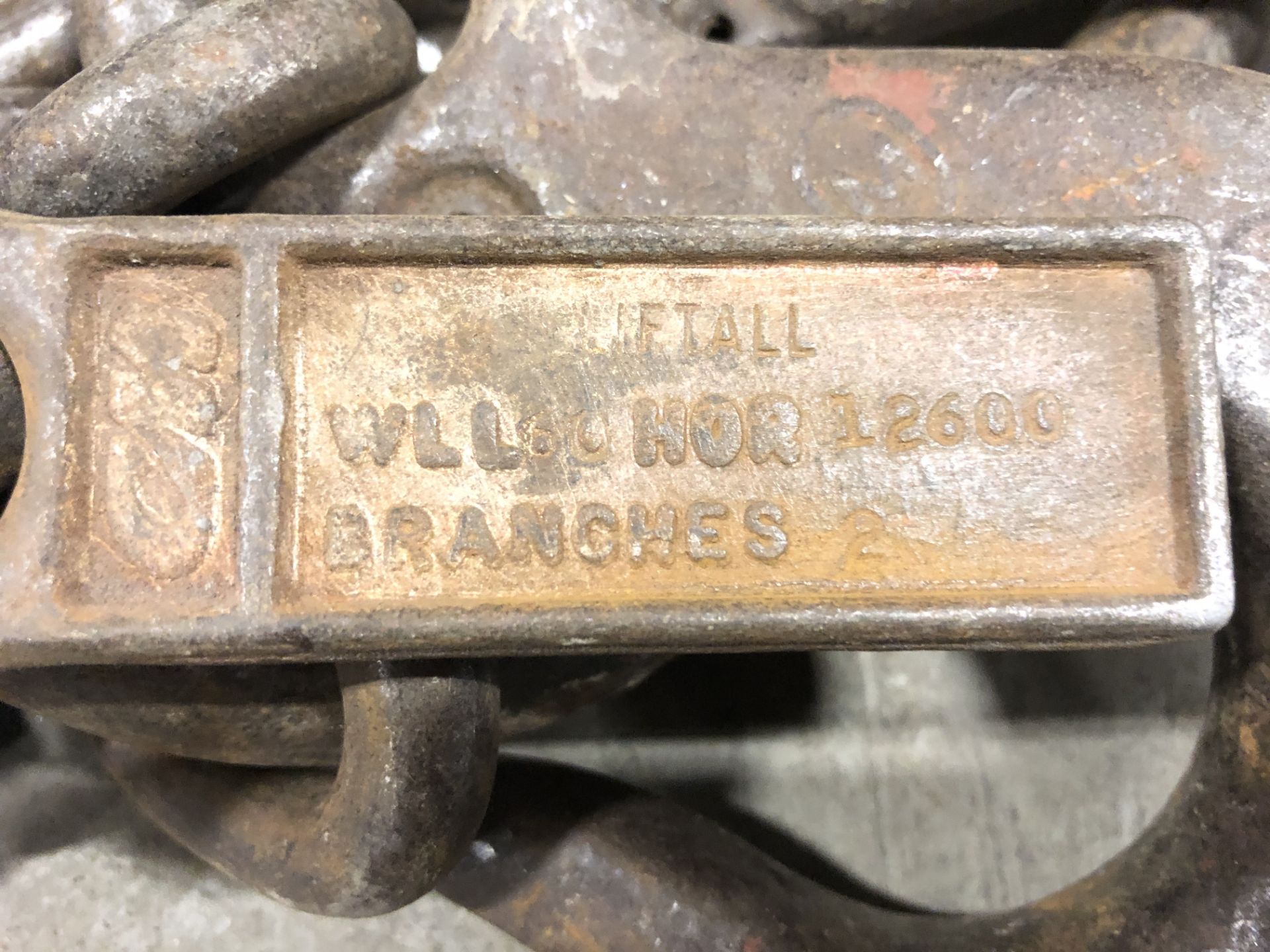 CM lifall 10’ lifting chain, 3/8” 12,600 wl per branch w/tag - Image 2 of 2