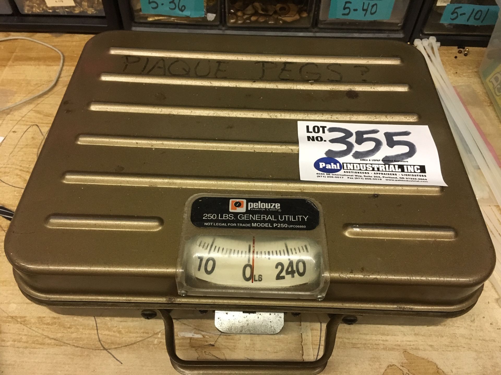 Pelouze 250lb Scale