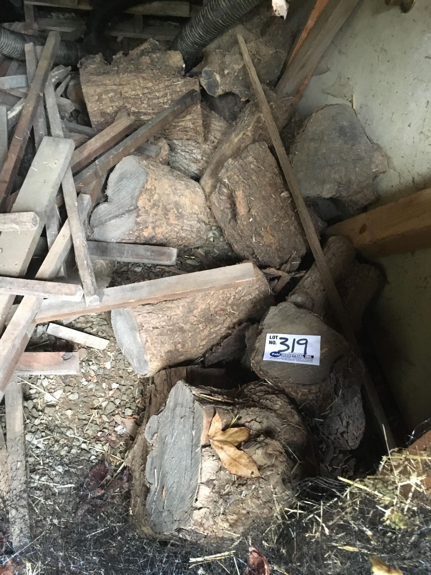 Assorted Stumps and short logs (species unknown)