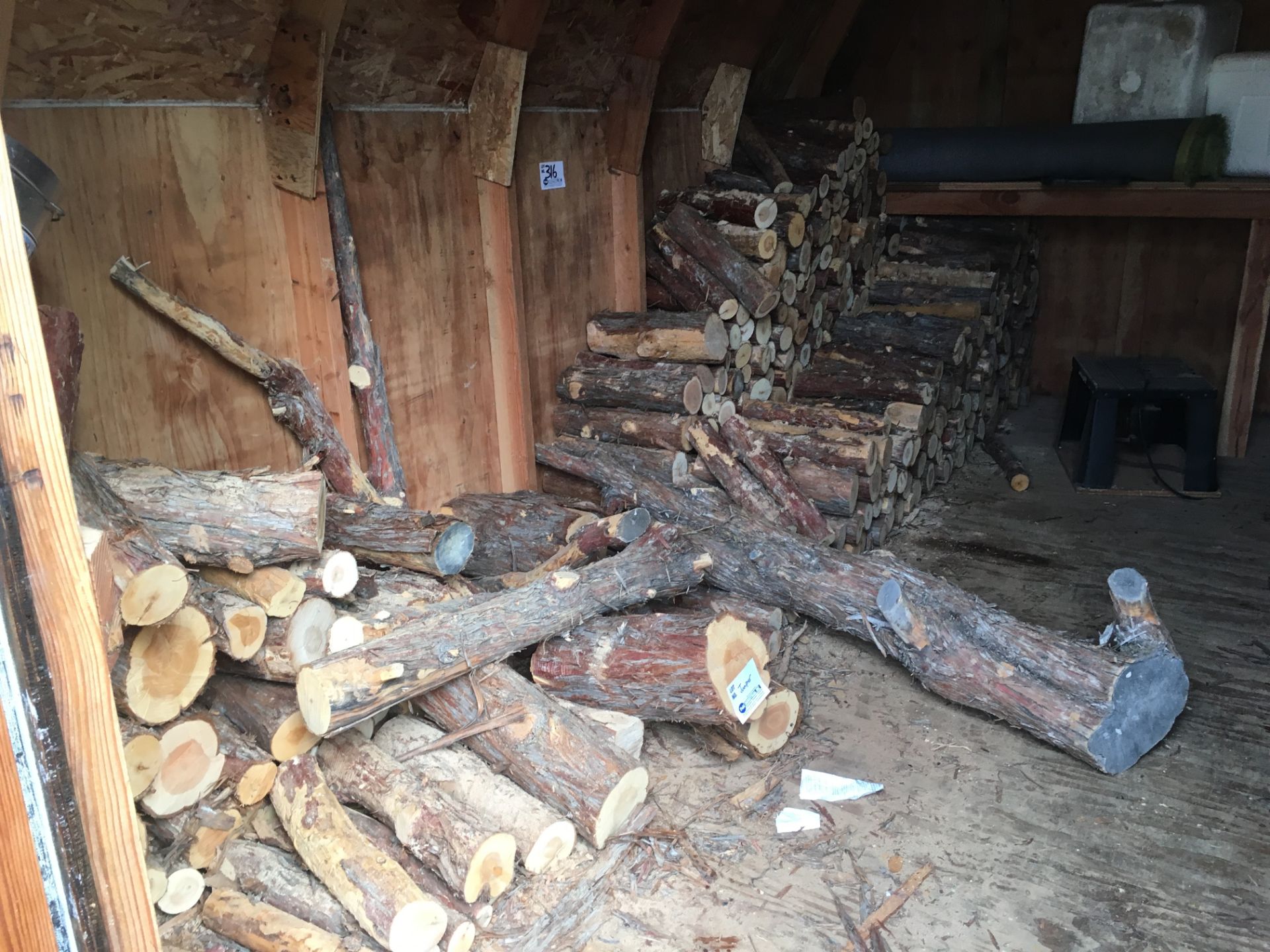 Contents inside shed including Juniper log stock, router table etc.