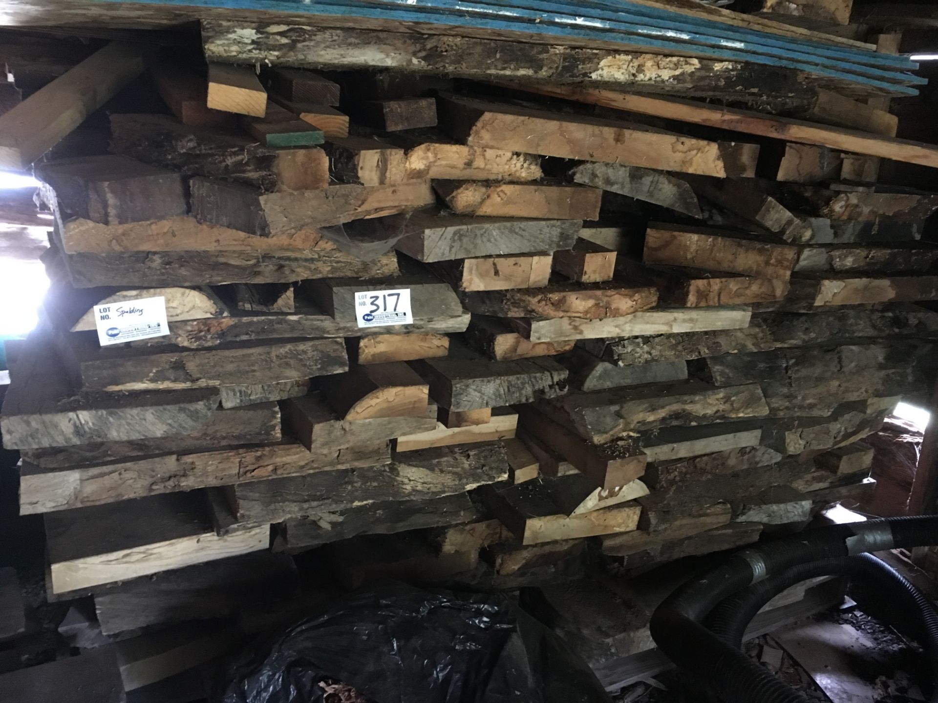 2-3' Thick slabs of Spalted Wood (species unknown)