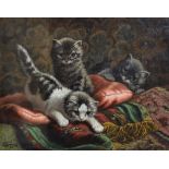 Cornelis Raaphorst (1875-1954) Dutch. Three Kittens Playing on Cushions, Oil on Canvas, Signed,