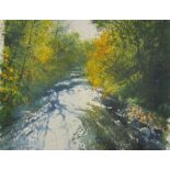 Richard Thorn (1952- ) British. "Passing Through Autumn", a River Scene, Watercolour, Signed, 13"
