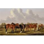 William Henry Marmaduke Turner (1840-1870) British. 'Nags in a Field', Oil on Canvas, Signed and