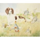 20th Century English School. Study of a Spaniel, with Partridge being Put up, Watercolour, Unframed,