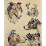 E... Samson (20th Century) French. Study of the Head of a Collie, Chalk, with Studies of other Dogs'